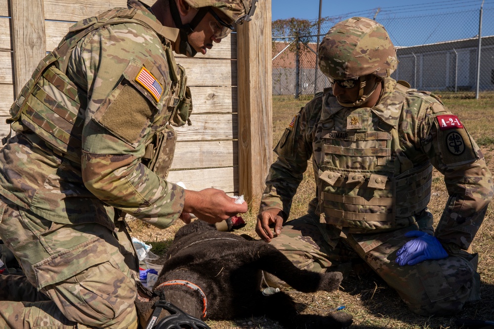 Fort Cavazos Hosts Medical Readiness Command, West's Best Medic Competition 2024