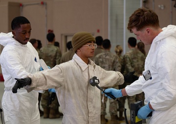 Radiant Falcon: Ready for anything