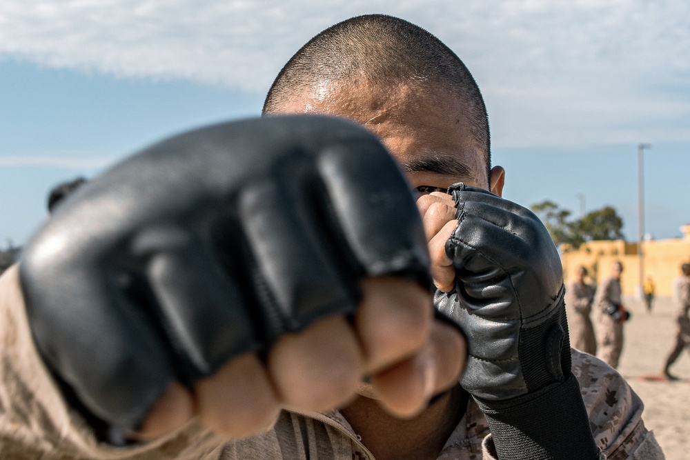 Fox Company Body Sparring