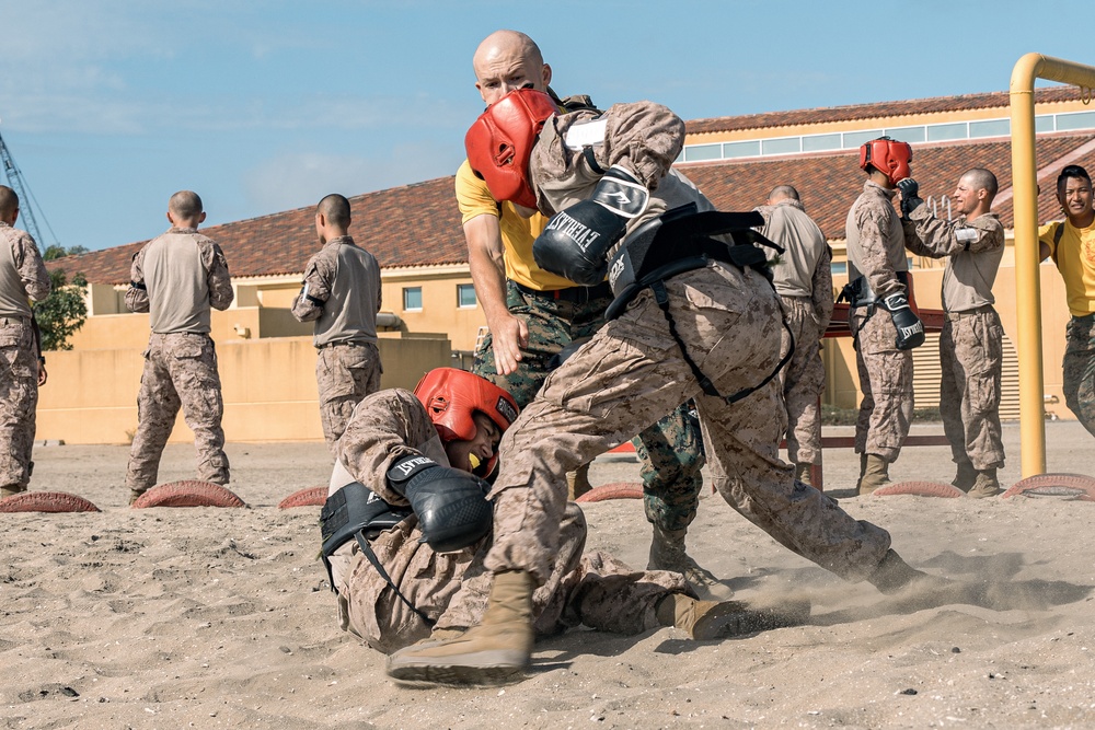 Fox Company Body Sparring