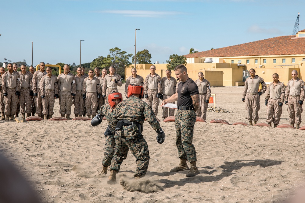 Fox Company Body Sparring