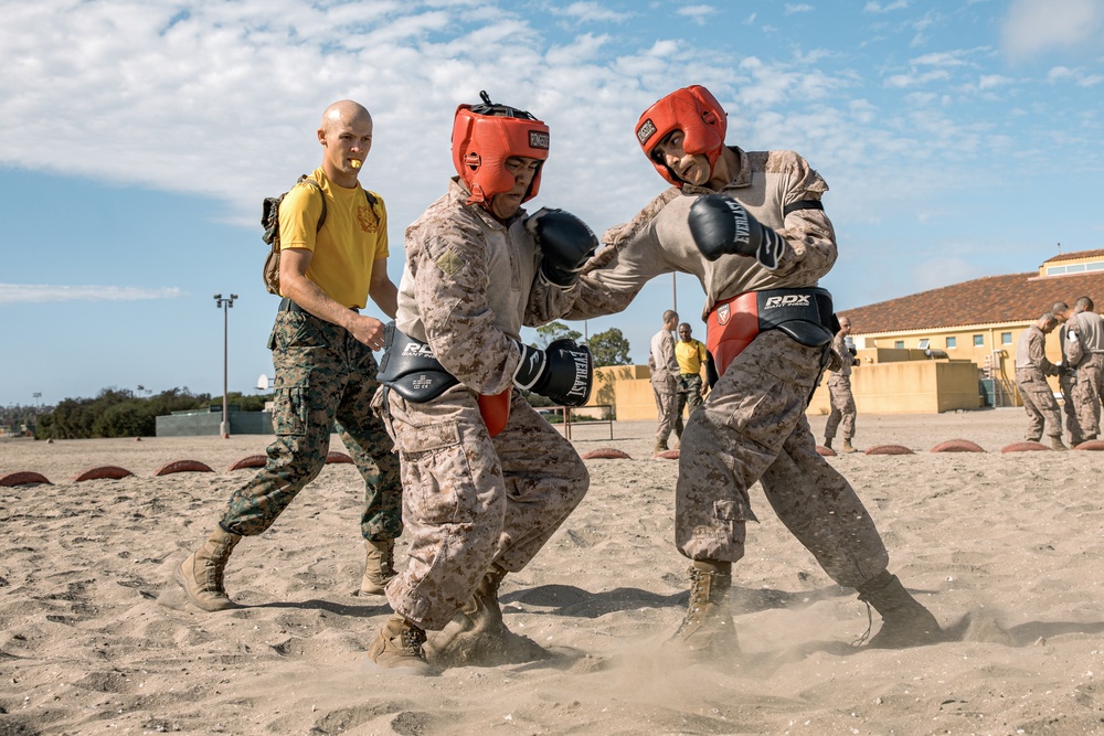 Fox Company Body Sparring