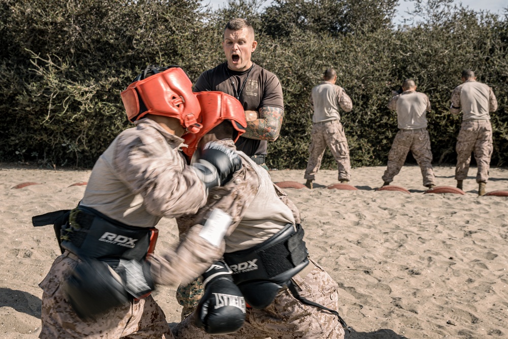 Fox Company Body Sparring