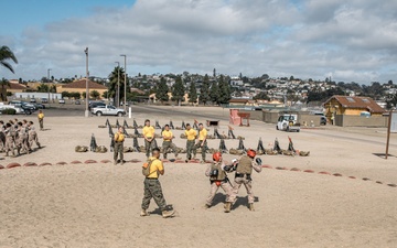 Fox Company Body Sparring