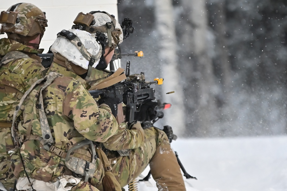 Arctic Wolves battle in snowy Donnelly Training Area