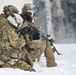 Arctic Wolves battle in snowy Donnelly Training Area