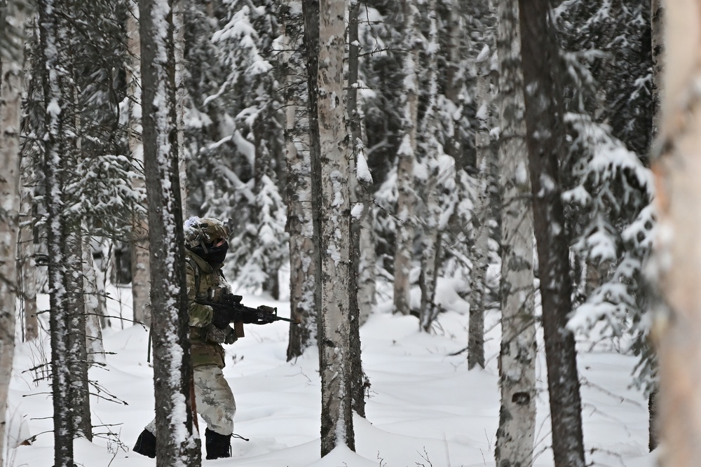 Arctic Wolves battle in snowy Donnelly Training Area