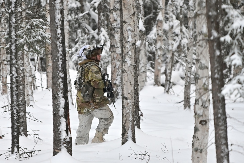 Arctic Wolves battle in snowy Donnelly Training Area