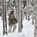 Arctic Wolves battle in snowy Donnelly Training Area