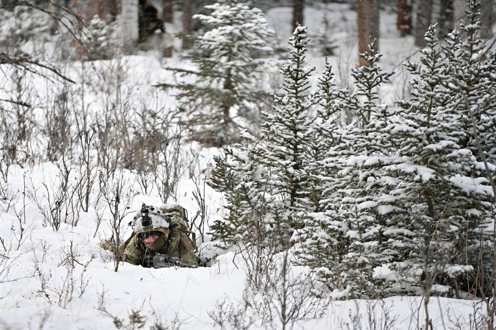 Arctic Wolves battle in snowy Donnelly Training Area