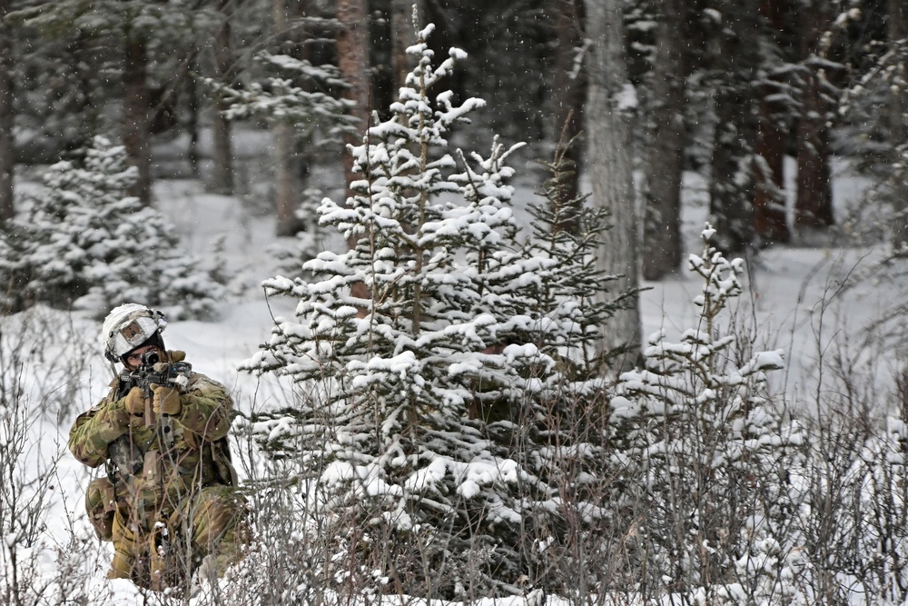 Arctic Wolves battle in snowy Donnelly Training Area