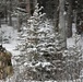 Arctic Wolves battle in snowy Donnelly Training Area