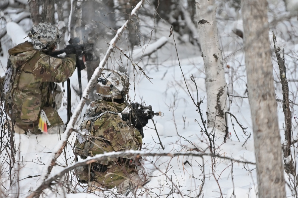 Arctic Wolves battle in snowy Donnelly Training Area