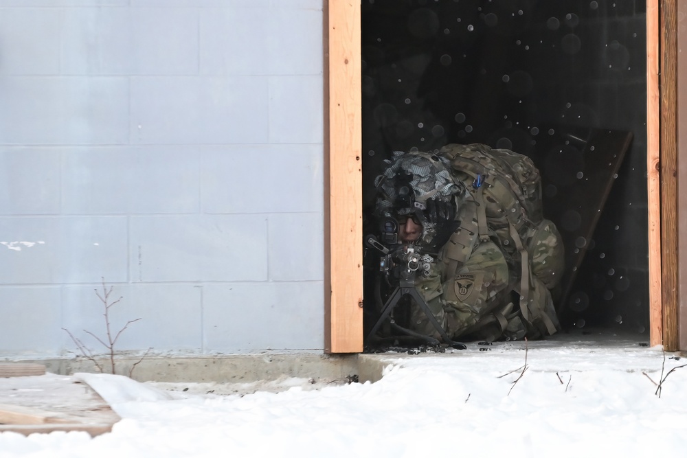 Arctic Wolves battle in snowy Donnelly Training Area