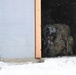 Arctic Wolves battle in snowy Donnelly Training Area