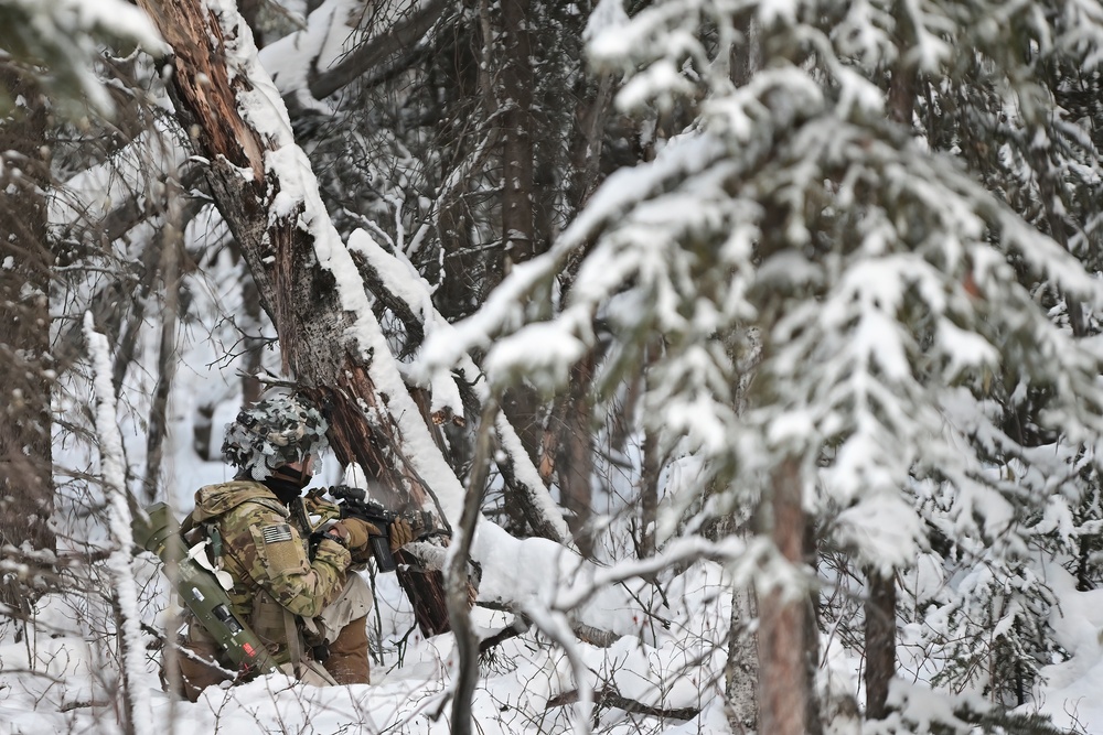 Arctic Wolves battle in snowy Donnelly Training Area