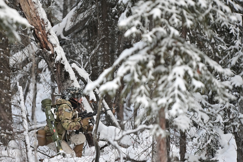 Arctic Wolves battle in snowy Donnelly Training Area