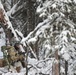 Arctic Wolves battle in snowy Donnelly Training Area