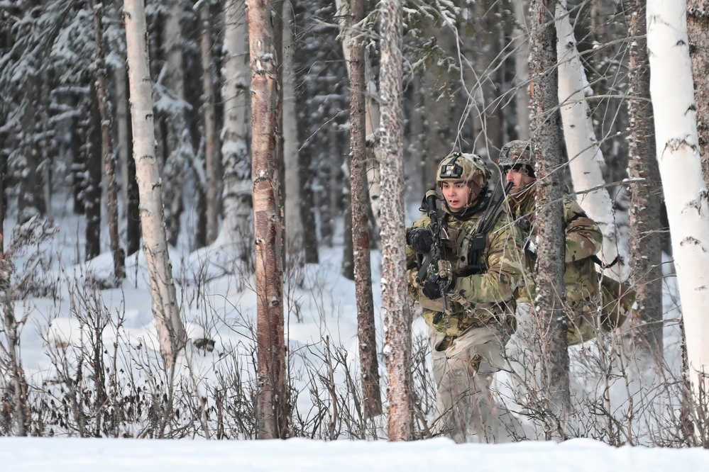 Arctic Wolves battle in snowy Donnelly Training Area