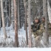 Arctic Wolves battle in snowy Donnelly Training Area