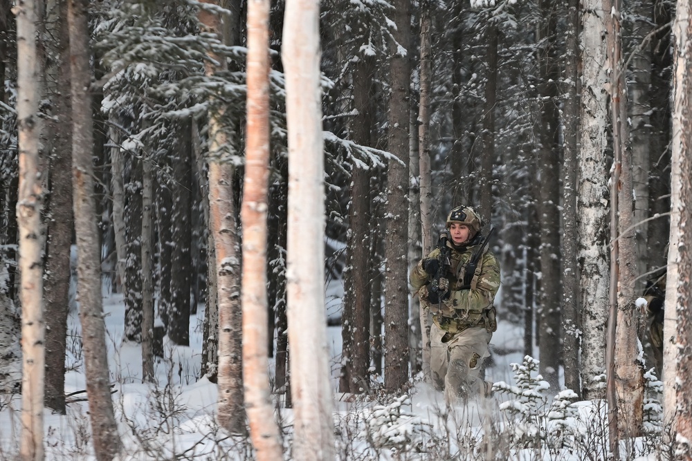 Arctic Wolves battle in snowy Donnelly Training Area