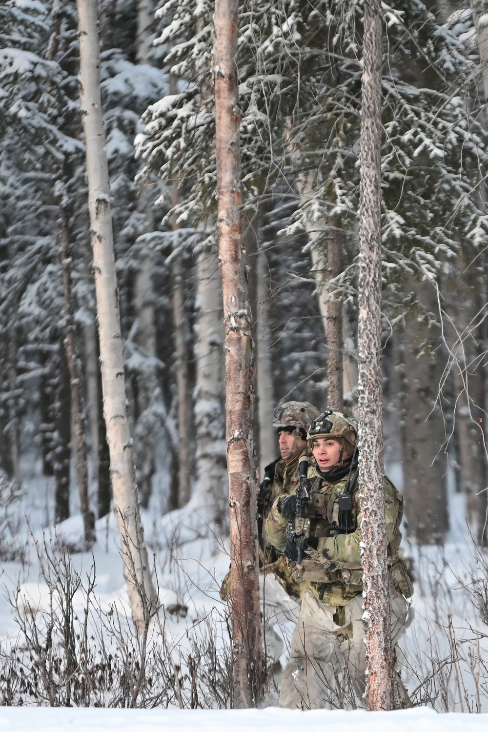 Arctic Wolves battle in snowy Donnelly Training Area