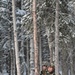 Arctic Wolves battle in snowy Donnelly Training Area