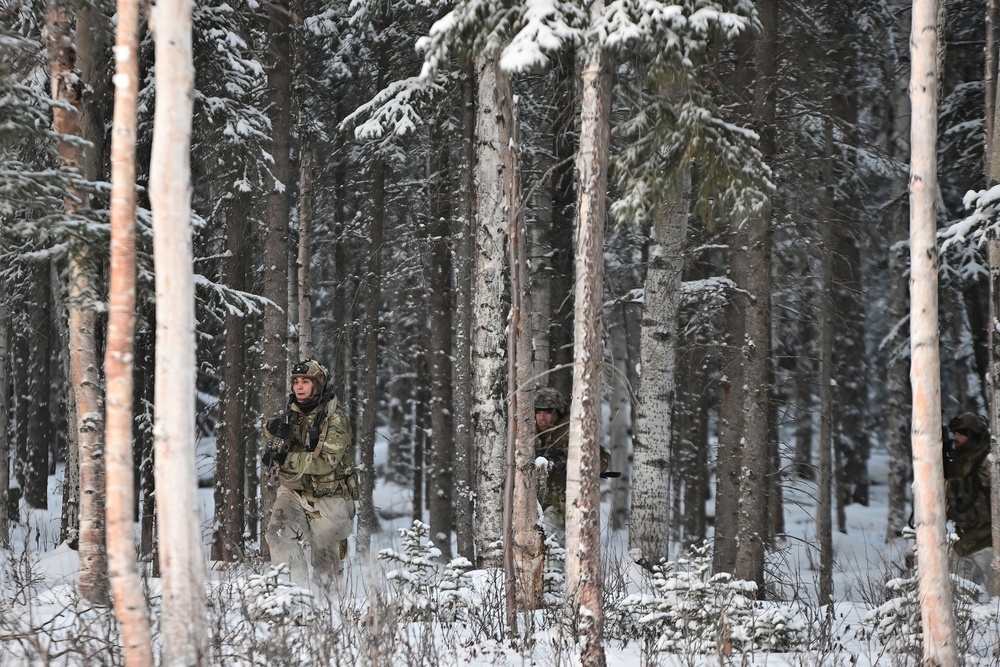 Arctic Wolves battle in snowy Donnelly Training Area