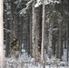 Arctic Wolves battle in snowy Donnelly Training Area