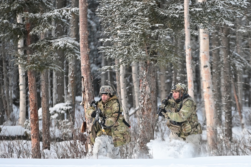 Arctic Wolves battle in snowy Donnelly Training Area