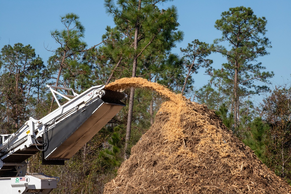 Hurricane Helene Relief: USACE Leads Debris Removal Efforts in Georgia