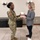 ASC embraces wearable technology to improve overall Soldier fitness