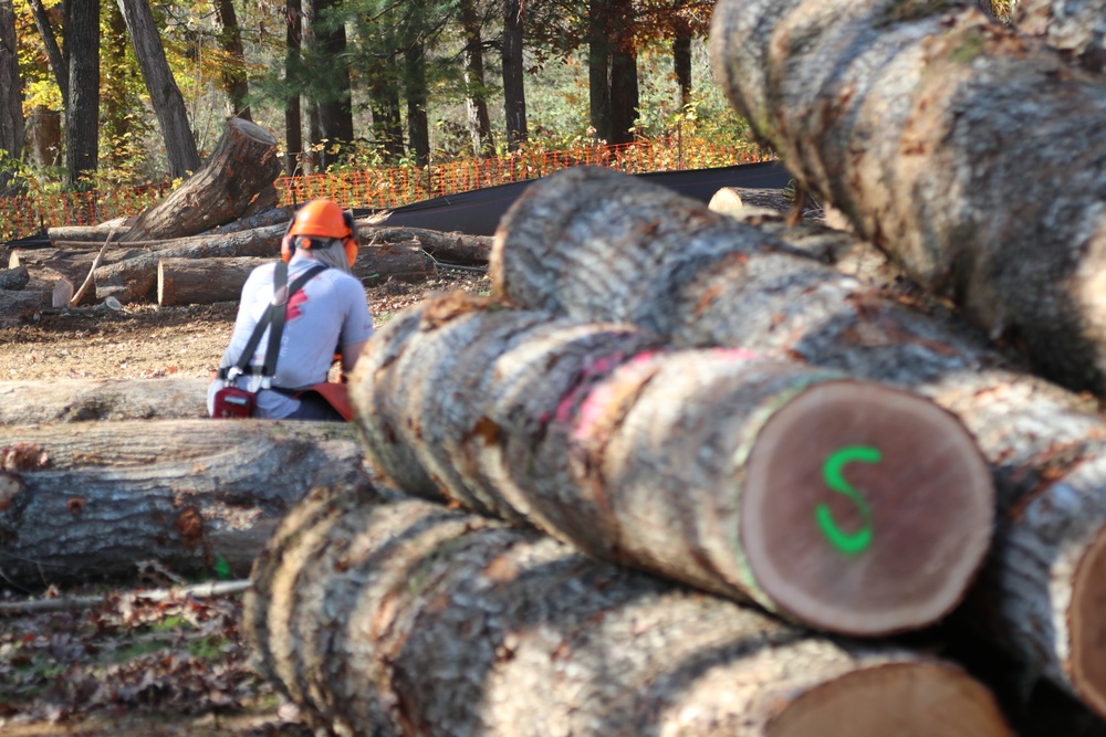 North Carolina Project Repurposes Fallen Trees