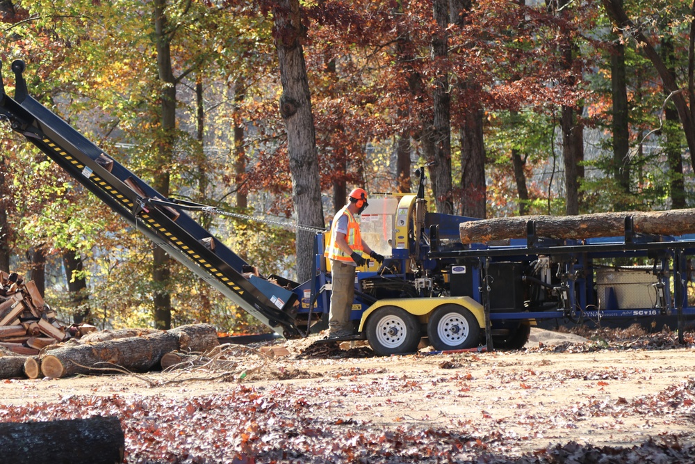 North Carolina Project Repurposes Fallen Trees