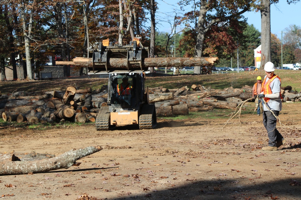 North Carolina Project Repurposes Fallen Trees