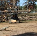 North Carolina Project Repurposes Fallen Trees