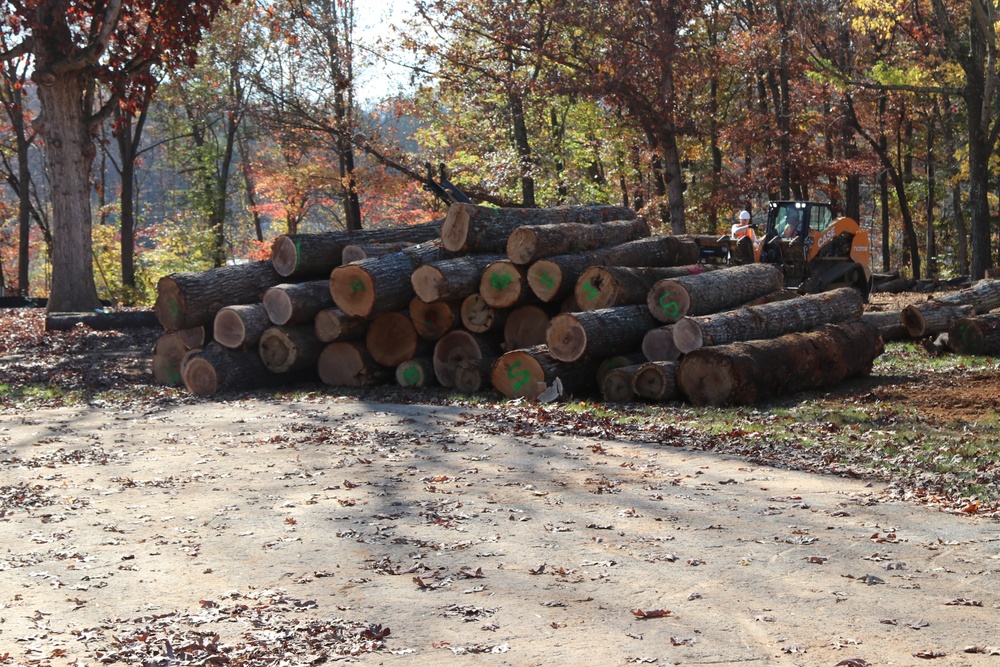 North Carolina Project Repurposes Fallen Trees