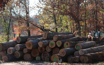 North Carolina Project Repurposes Fallen Trees