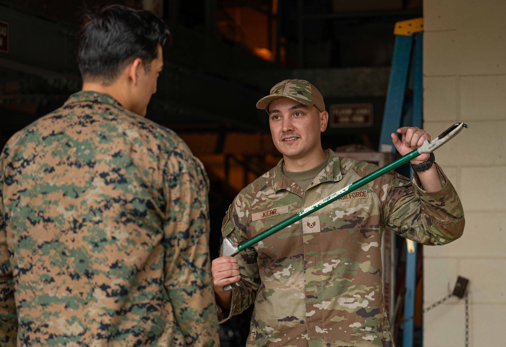 18th CES Airmen and 3DMEDBN Sailors handle Okinawan snakes