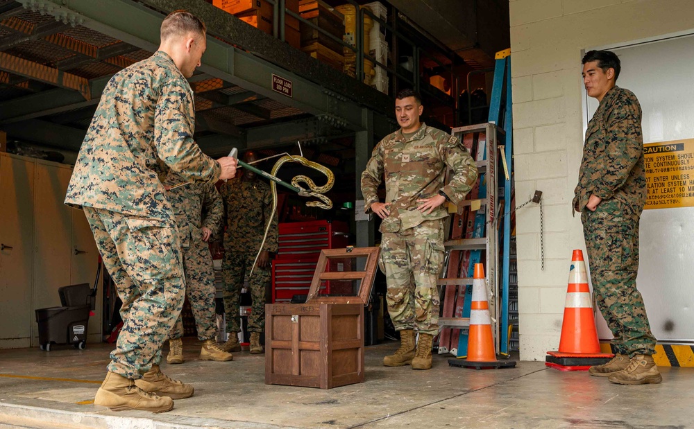 18th CES Airmen and 3DMEDBN Sailors handle Okinawan snakes