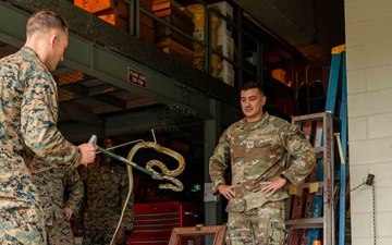 18th CES Airmen and 3DMEDBN Sailors handle Okinawan snakes