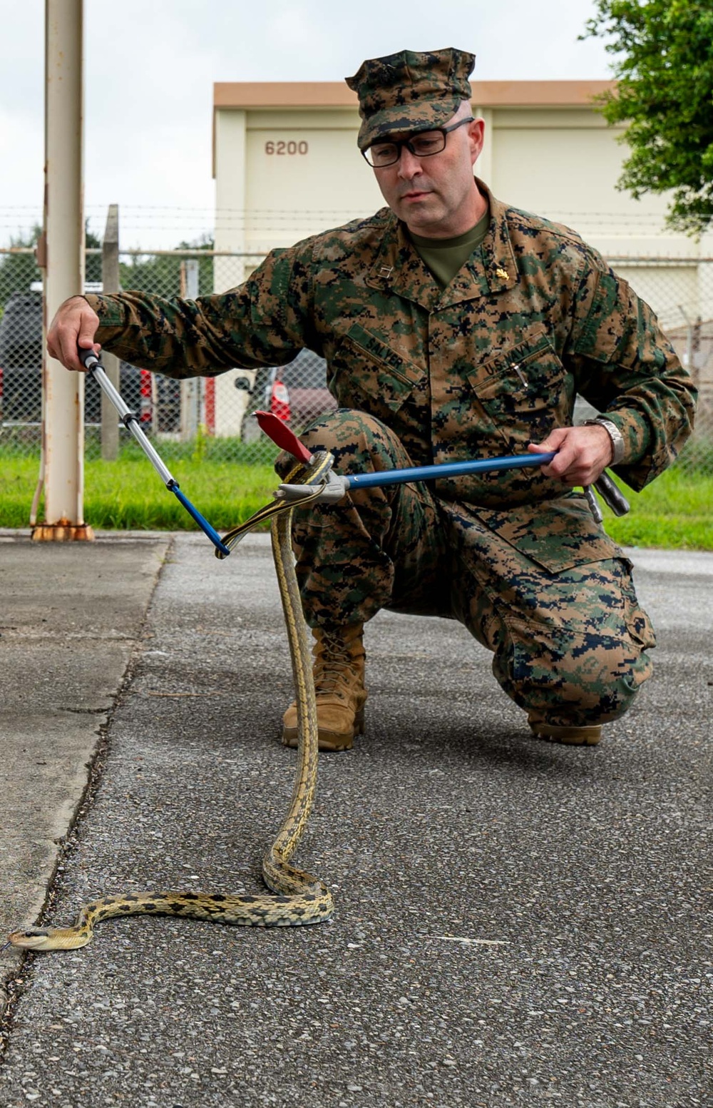 18th CES Airmen and 3DMEDBN Sailors handle Okinawan snakes