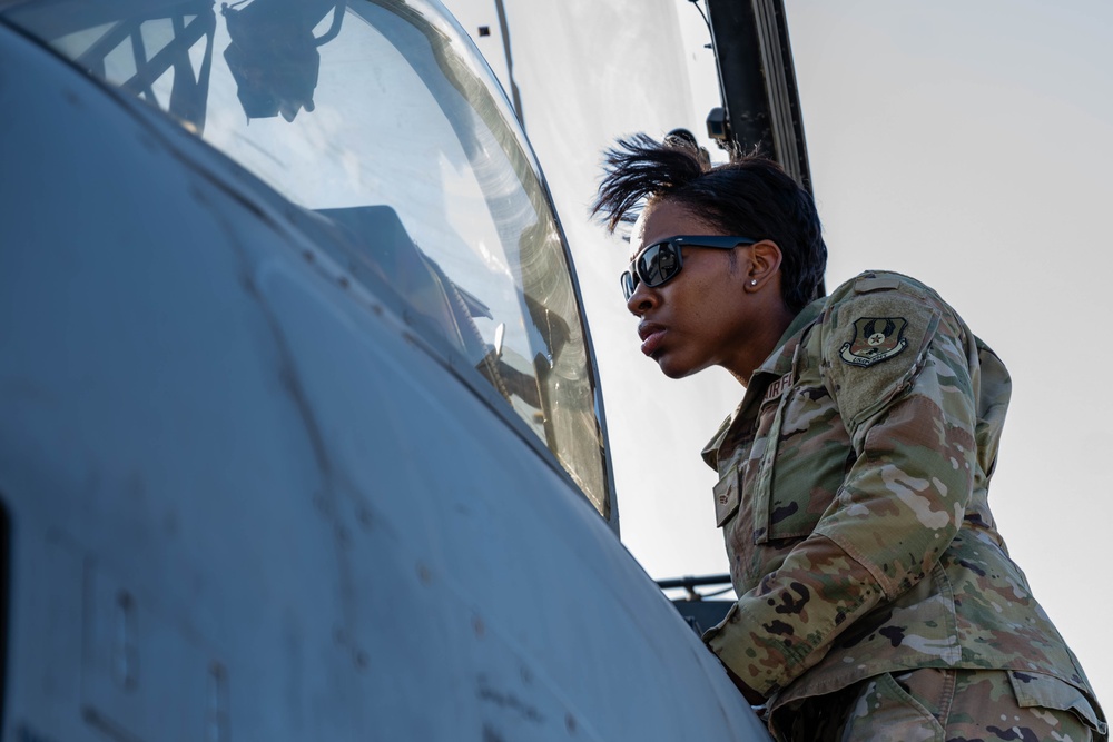 379th EFSS Pet the Jet