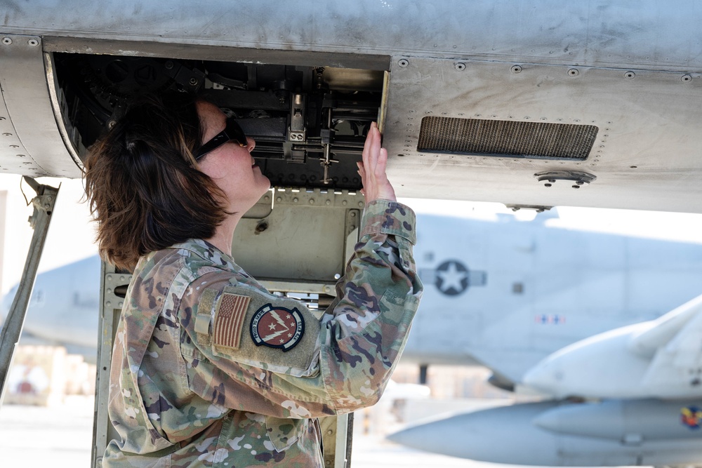 379th EFSS Pet the Jet