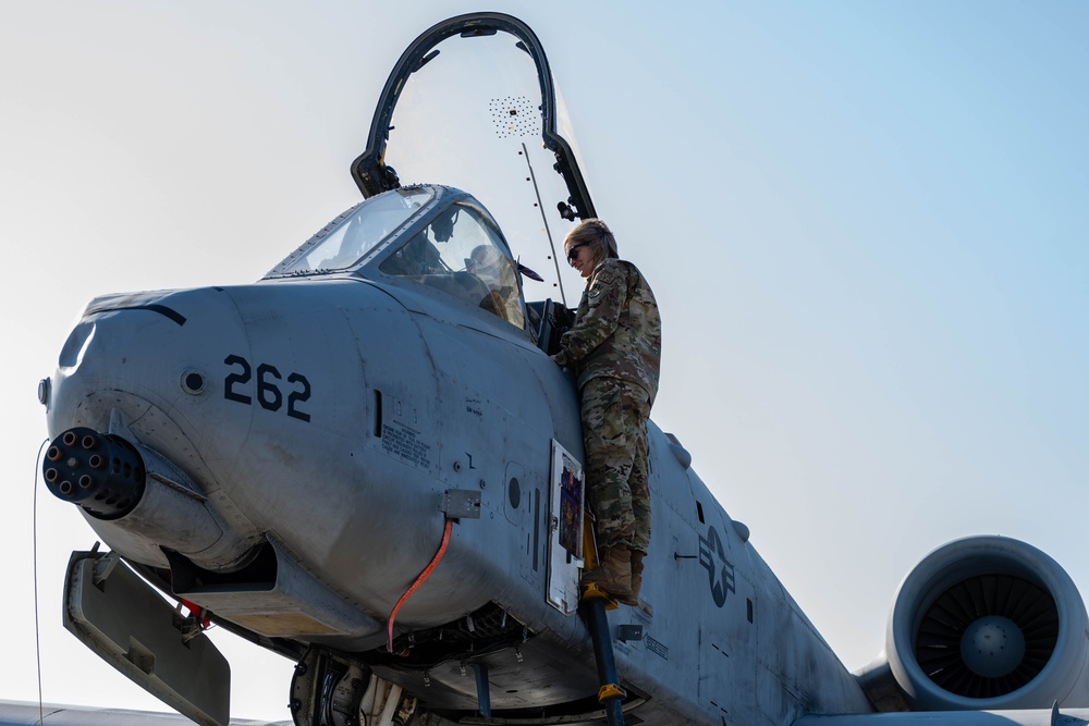 379th EFSS Pet the Jet