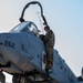 379th EFSS Pet the Jet