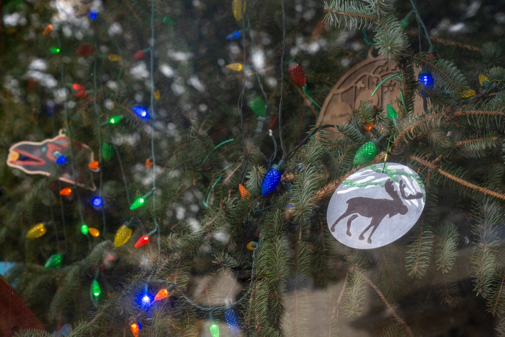 U.S. Capitol Christmas Tree visits Dover Air Force Base