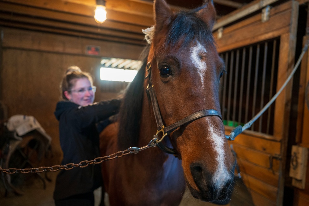 TMO Airman Not Horsing Around