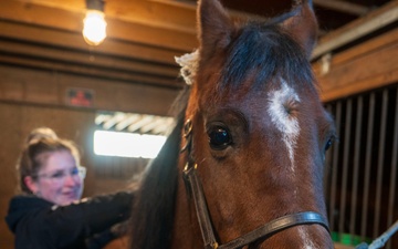 TMO Airman Not Horsing Around