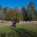 TMO Airman Not Horsing Around